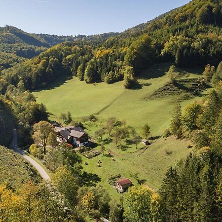 Urlaub Mitten Im Wald - Lueg Scheibbs 외부 사진