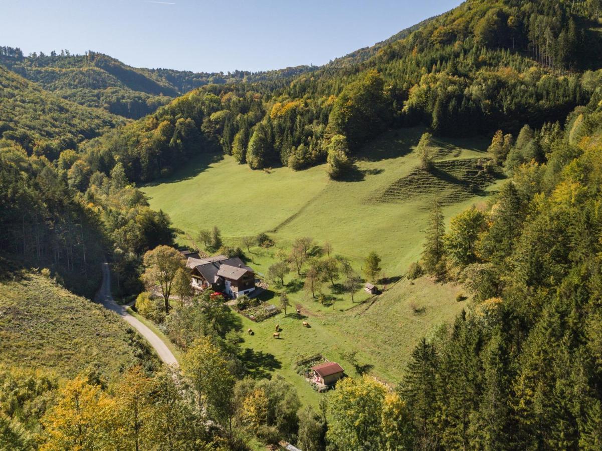 Urlaub Mitten Im Wald - Lueg Scheibbs 외부 사진