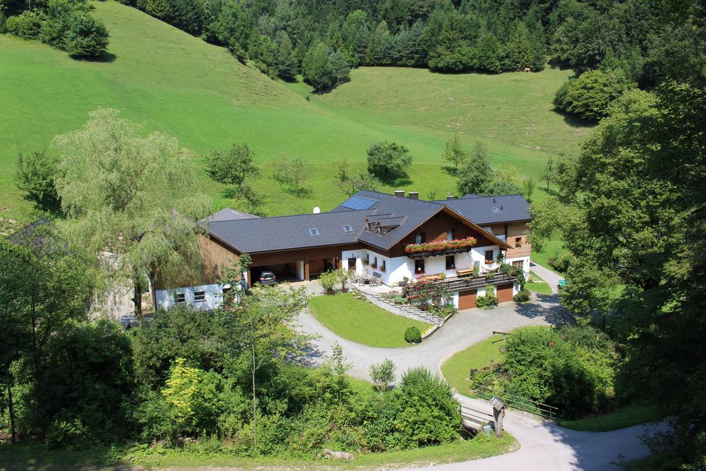 Urlaub Mitten Im Wald - Lueg Scheibbs 외부 사진
