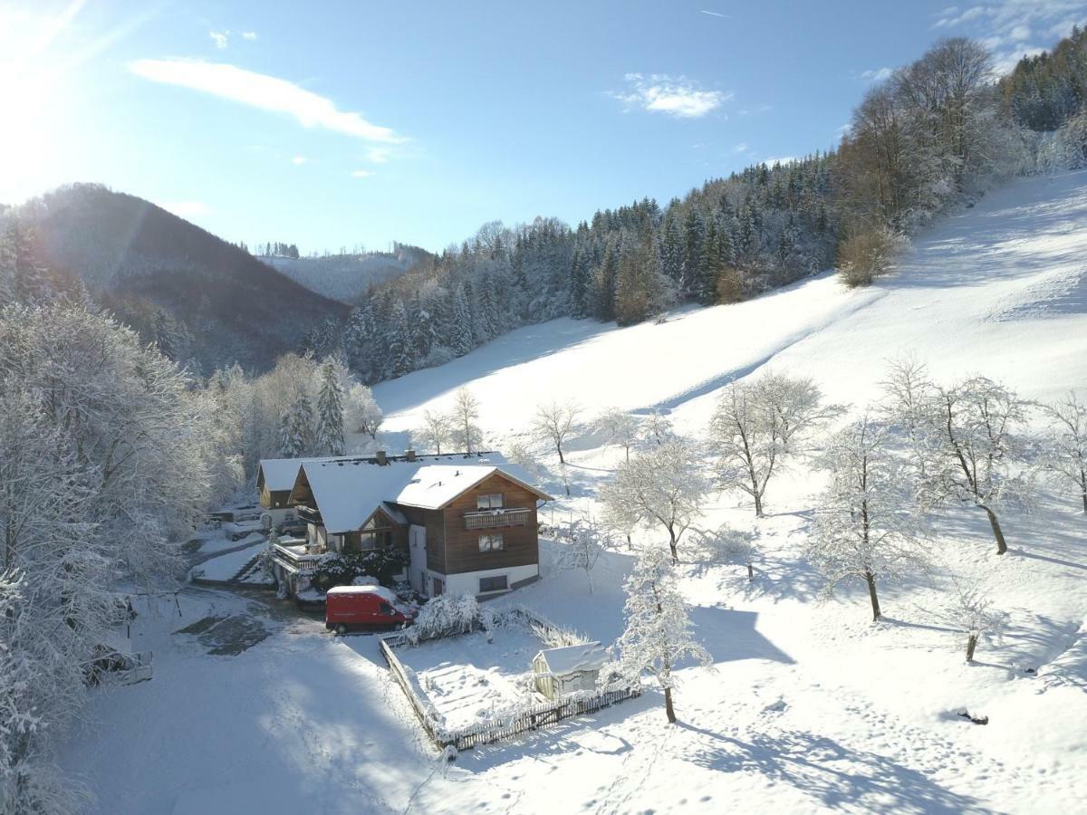 Urlaub Mitten Im Wald - Lueg Scheibbs 외부 사진