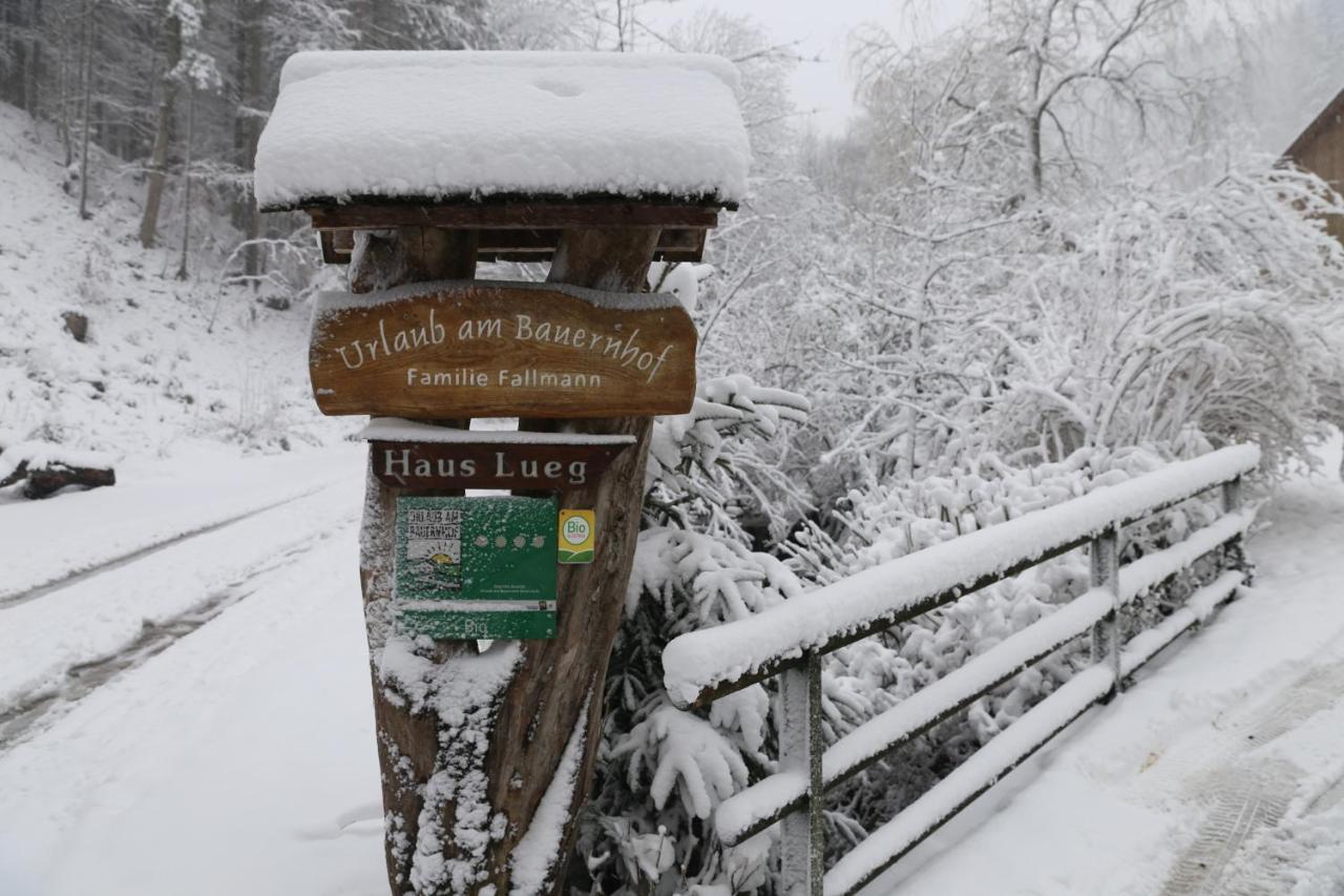 Urlaub Mitten Im Wald - Lueg Scheibbs 외부 사진